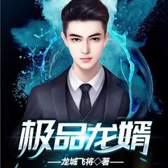 极品龙婿(多人剧)
