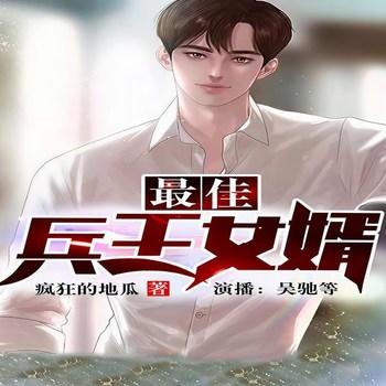最佳兵王女婿(多人剧)