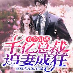 有孕出逃：千亿总裁追妻成狂|夏时带球跑