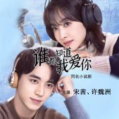 谁都知道我爱你 | 宋茜、许魏洲主演|同名小说 | 多人有声影视剧