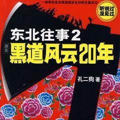 东北往事2-黑道风云20年 