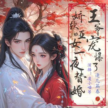 娇软哑女一夜替婚，王爷宠爆了(多人剧)