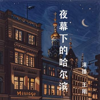 王刚夜幕下的哈尔滨(多人剧)